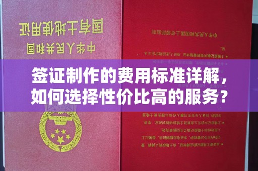 钦北签证制作的费用标准详解，如何选择性价比高的服务？